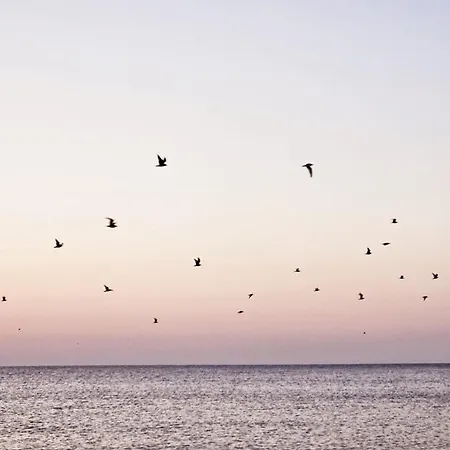 Modern 2 Camere,complet Utilat,cu Balcon Si La Mare-zoorba * Năvodari